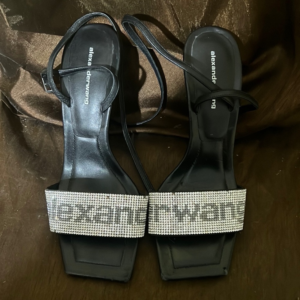 Alexander wang
